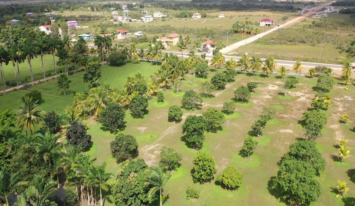 DJI_0352.00_01_12_25.Still009