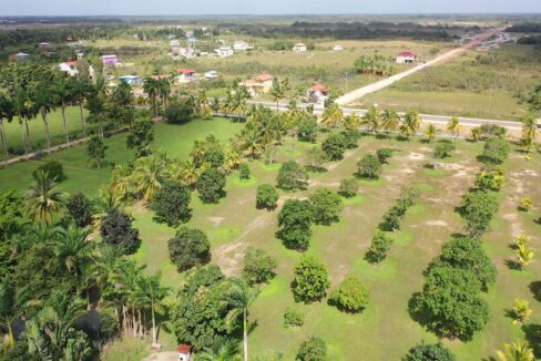 DJI_0352.00_01_12_25.Still009