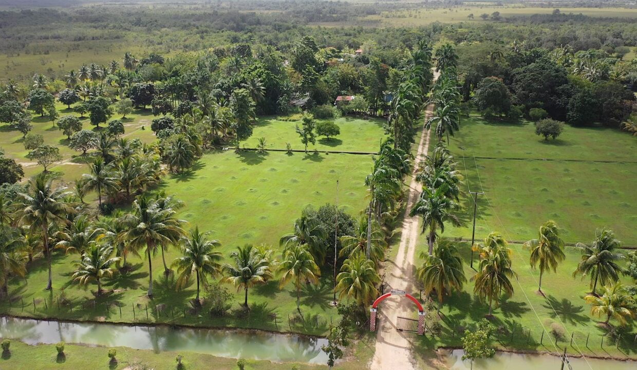 DJI_0352.00_01_40_10.Still011
