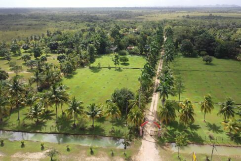 DJI_0352.00_01_40_10.Still011