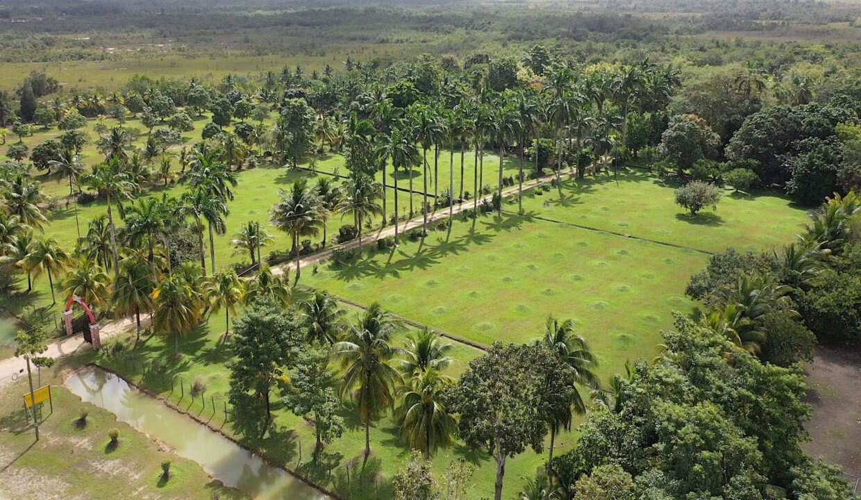 DJI_0352.00_01_47_28.Still012