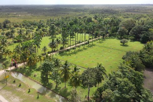 DJI_0352.00_01_47_28.Still012