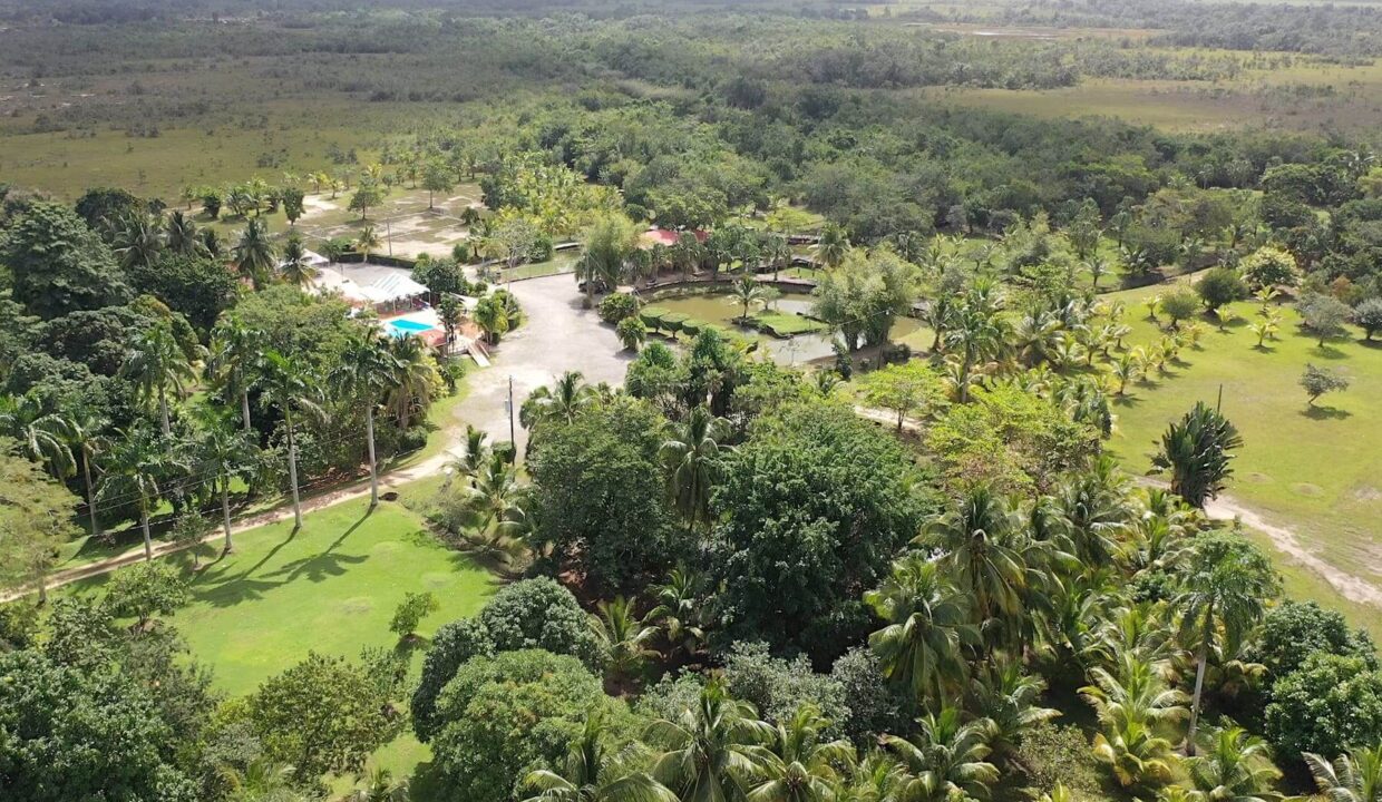 DJI_0352.00_02_04_08.Still013