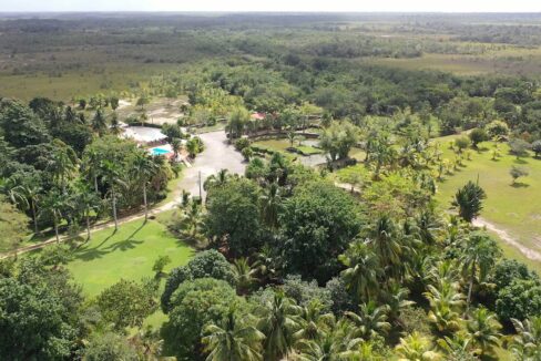 DJI_0352.00_02_04_08.Still013