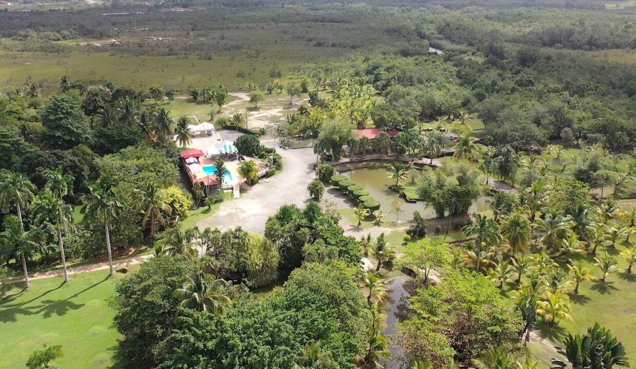 DJI_0352.00_02_08_13.Still014