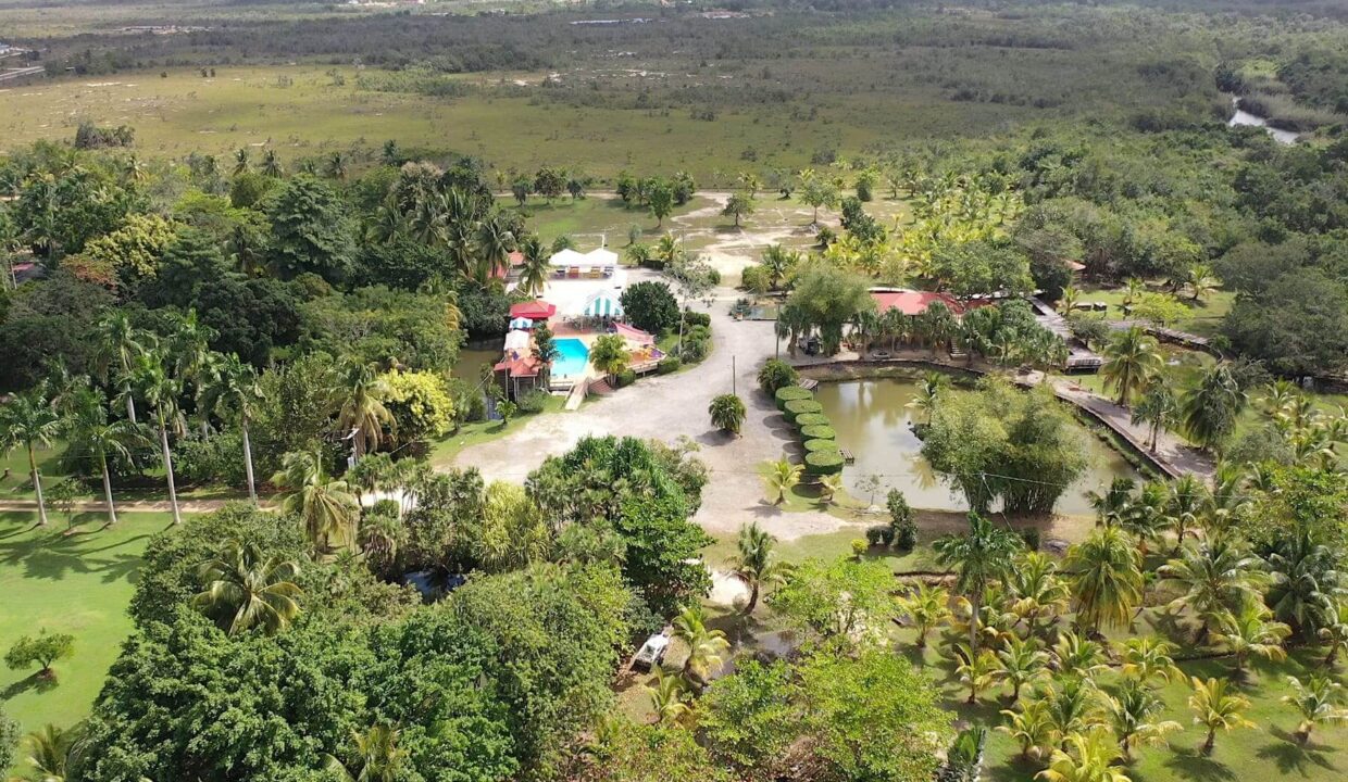 DJI_0352.00_02_11_11.Still015