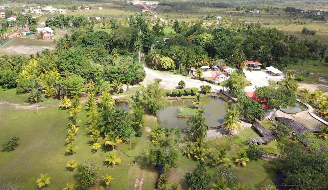DJI_0352.00_02_28_20.Still018