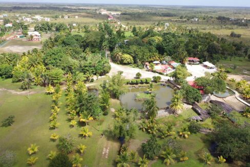 DJI_0352.00_02_28_20.Still018