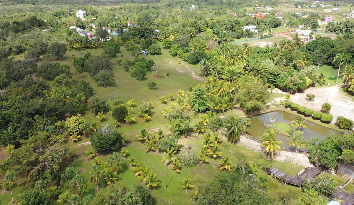 DJI_0352.00_02_39_09.Still019