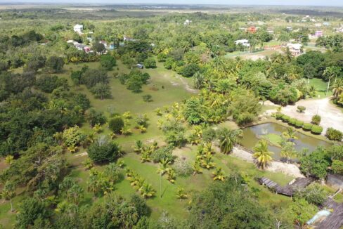 DJI_0352.00_02_39_09.Still019