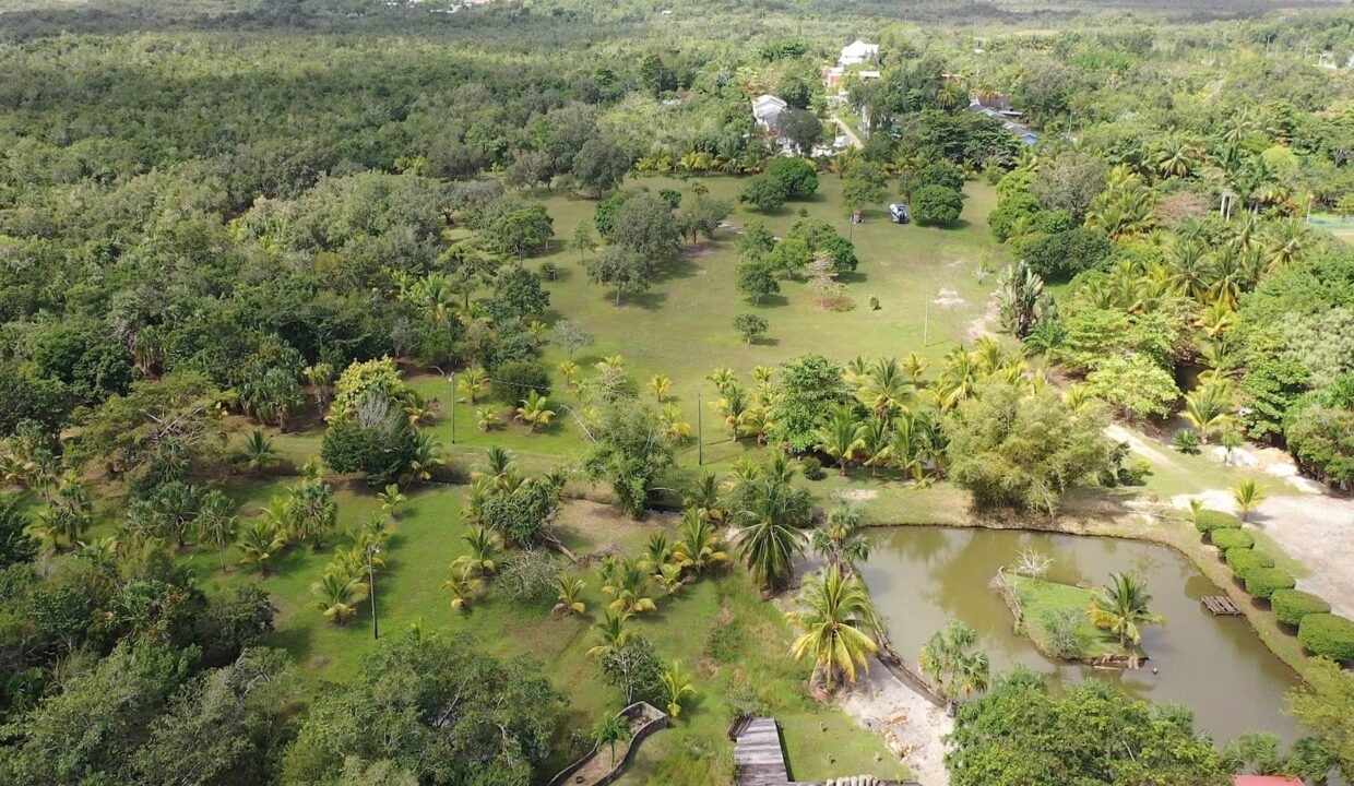 DJI_0352.00_02_45_09.Still020