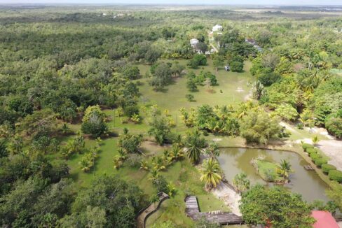 DJI_0352.00_02_45_09.Still020