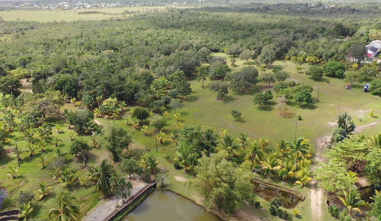 DJI_0352.00_02_52_15.Still021