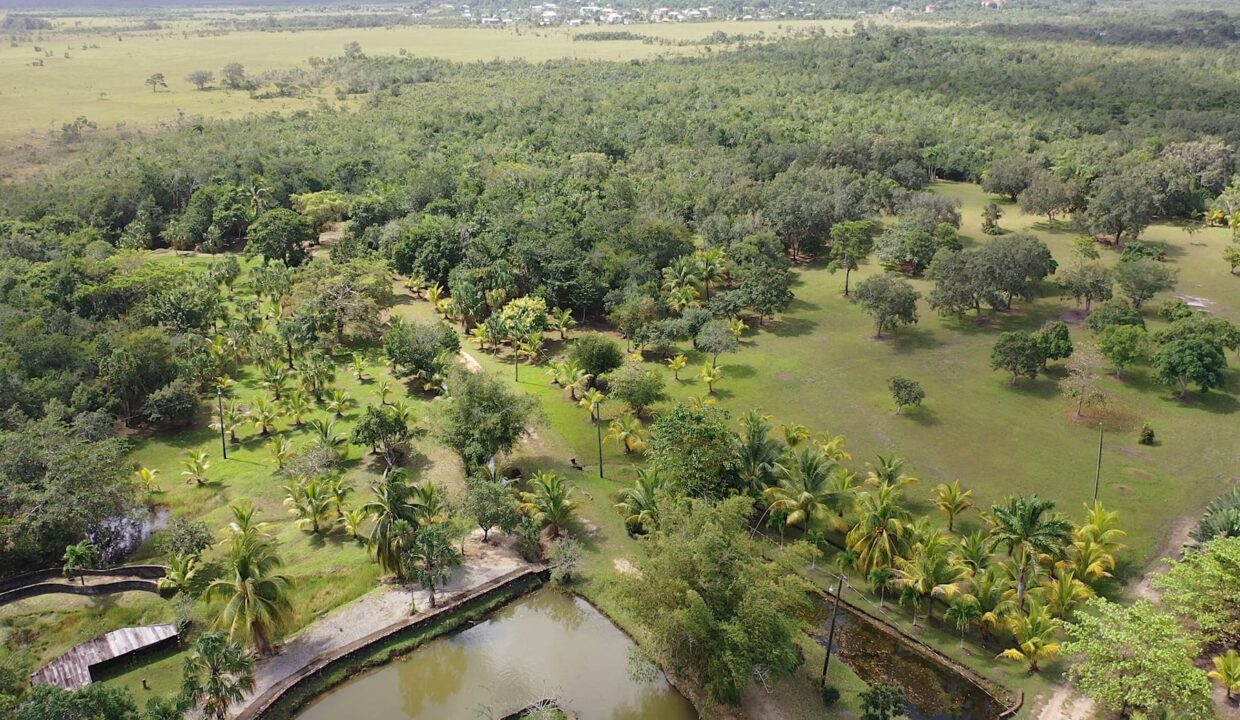 DJI_0352.00_02_56_09.Still022