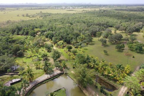 DJI_0352.00_02_56_09.Still022