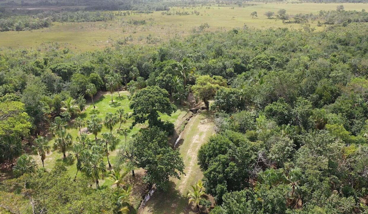 DJI_0352.00_03_18_08.Still024