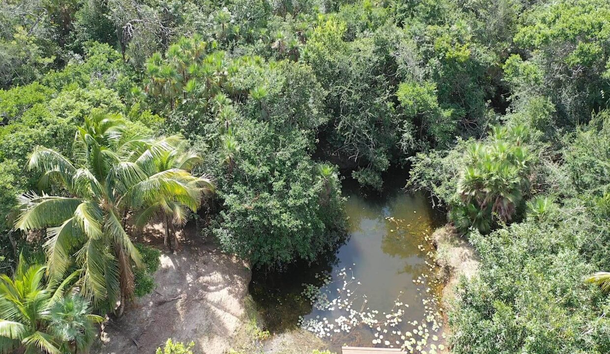 DJI_0352.00_03_29_27.Still026