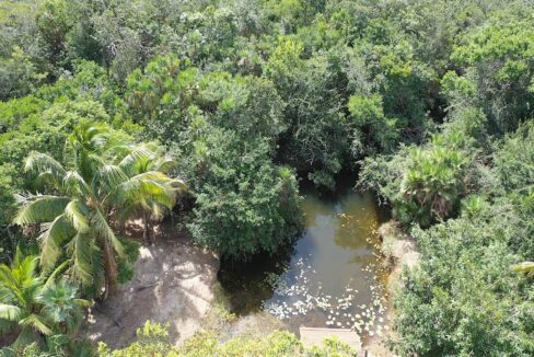 DJI_0352.00_03_29_27.Still026