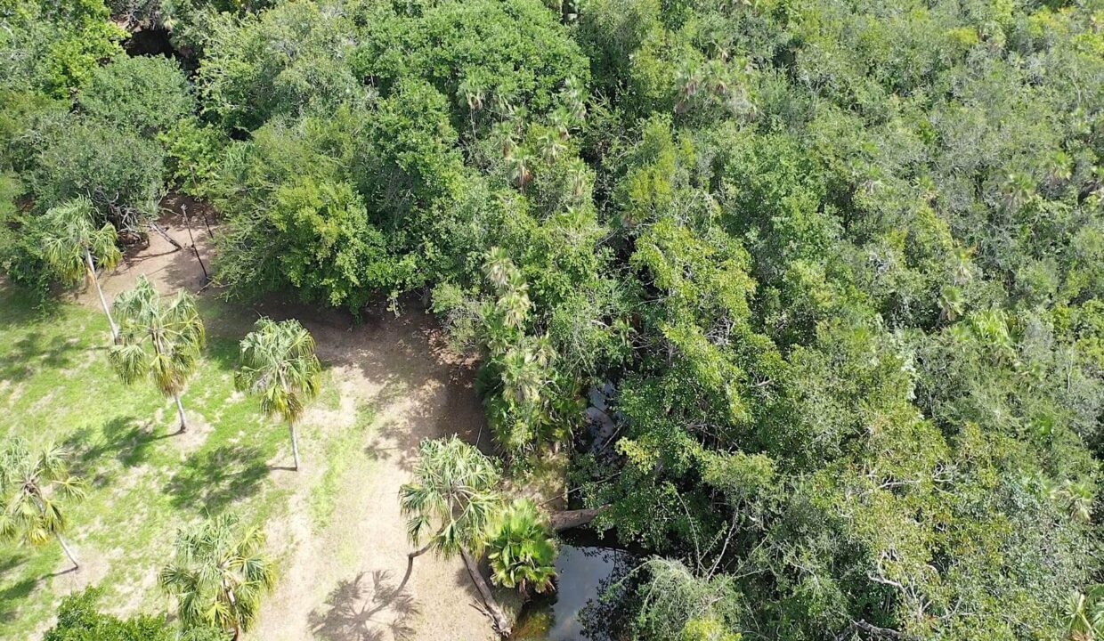 DJI_0352.00_03_36_09.Still025