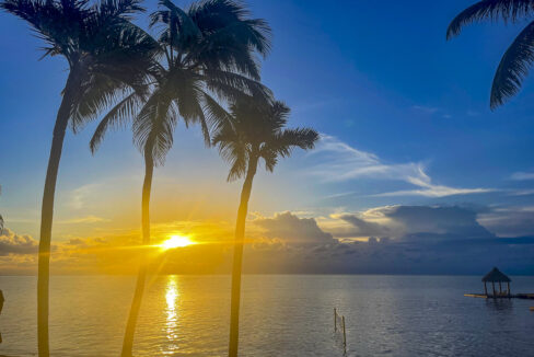 IMG_0042_web_web-1