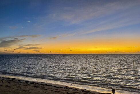 IMG_1999_web_web (1)