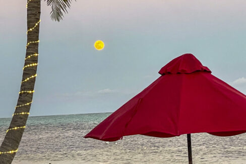 IMG_7179_web_web (1)