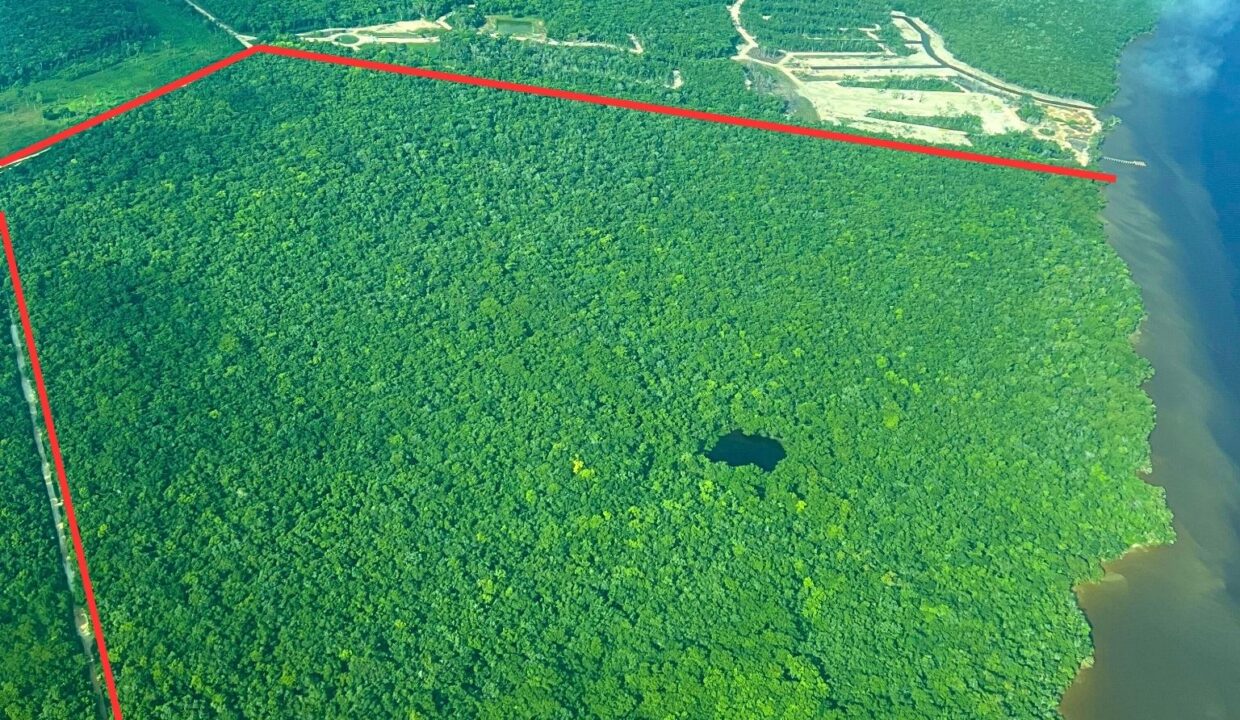 Maya Reserve