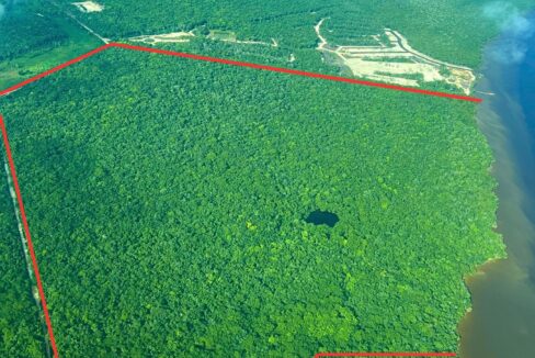 Maya Reserve