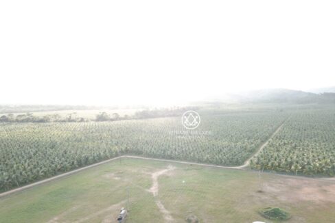PF0058-TexStar-Farm-plantation-scaled-800x0-c-center