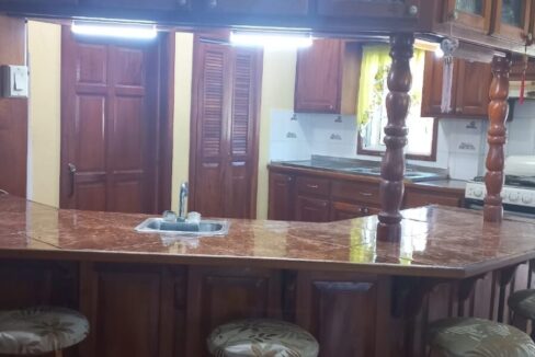 PH0054-house-for-sale-witha-bar-area-1170x600-c-center