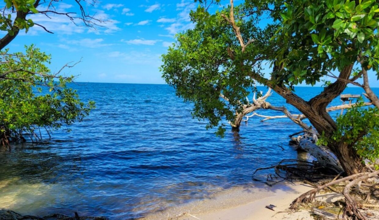 PI0037-sandy-area-1740x960-c-center