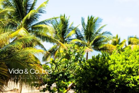 Placencia-property-for-sale-35-scaled