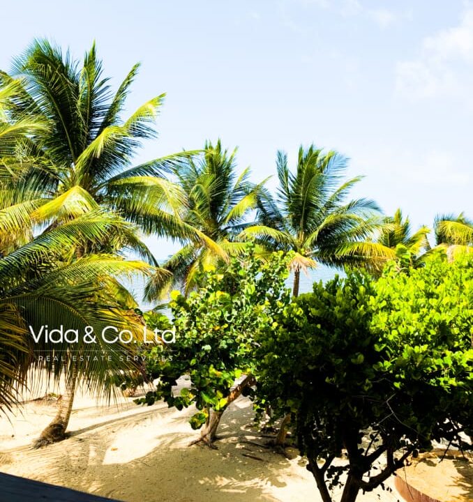 Placencia-property-for-sale-35-scaled