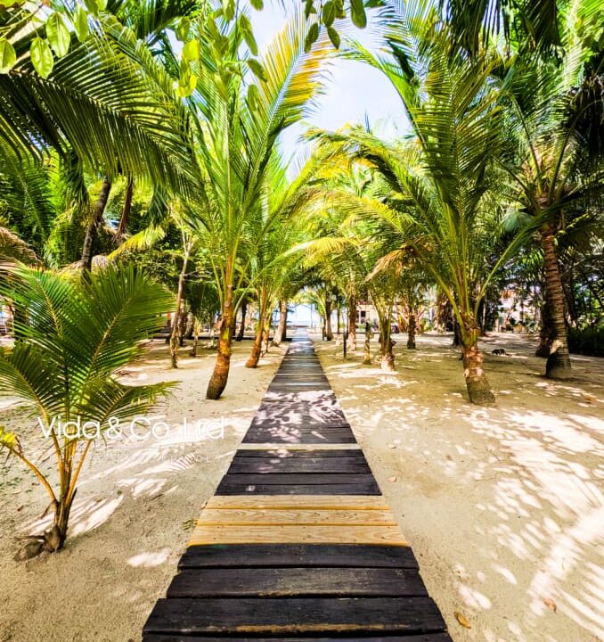 Placencia-property-for-sale-37-scaled