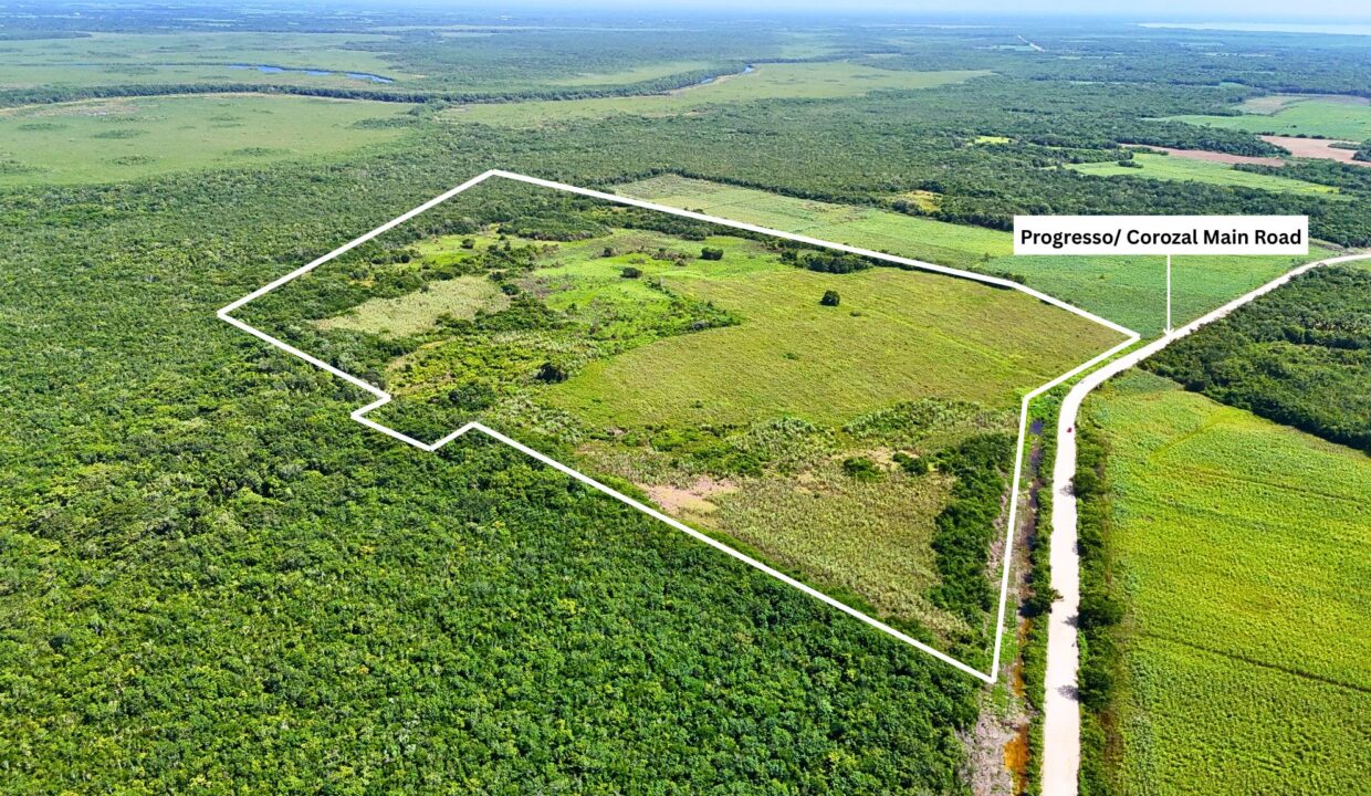 Progresso Corozal Main Road
