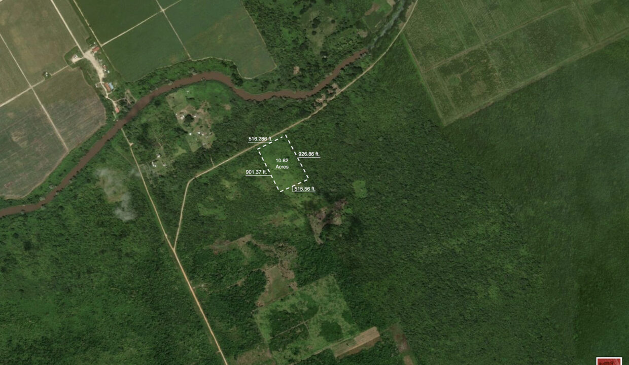 Sat20Sketch2010.8220Acres20Cotton20Tree20Cayo20zdistrict20Belize