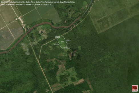 Sat20Sketch2010.8220Acres20Cotton20Tree20Cayo20zdistrict20Belize