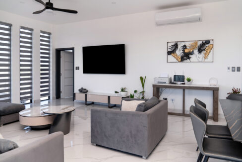 South-Condo-3