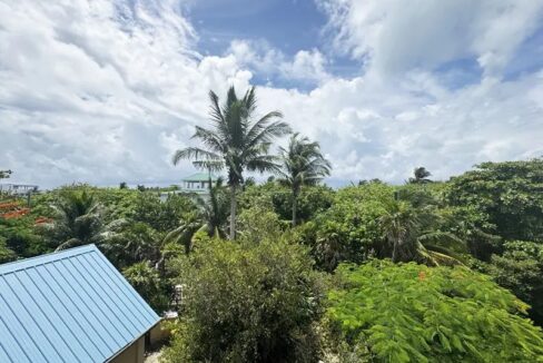 alta_vista_045_caye_caulker_belize