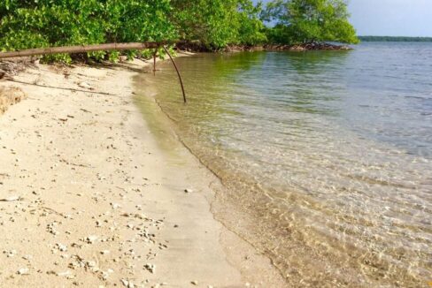 anderson-beach-good-1170x650