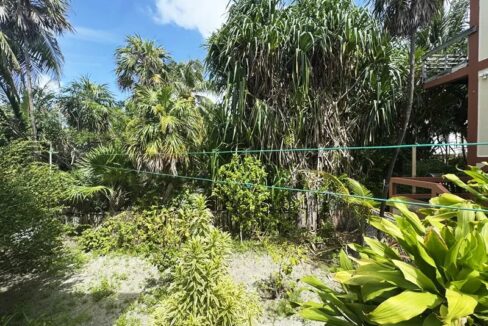 casa_verde_019_caye_caulker_belize