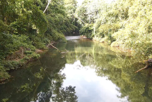 creek-on-areage