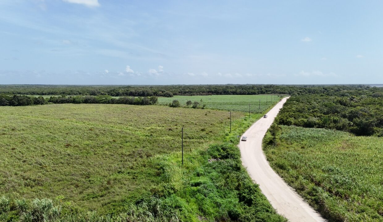 dji_fly_20250806_100342_0657_1754498547719_photo