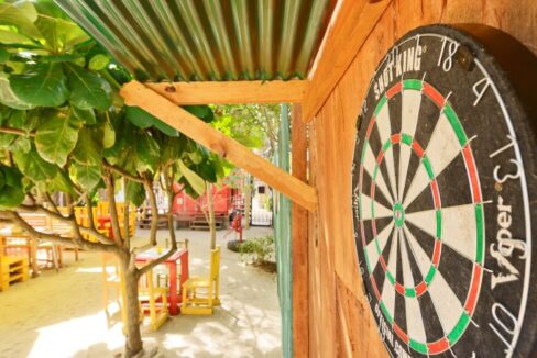 dw-darts-rs-1-1170x650