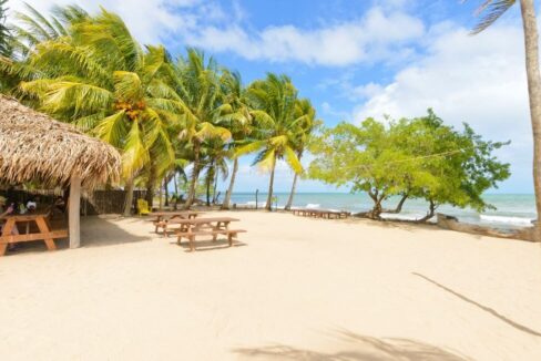 dw-good-beach-rs-1170x650