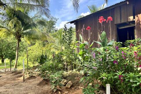houses-on-farm