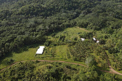 main-picture-farm-85-acres
