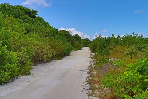 prime_oversized_lot_003_caye_caulker_belize