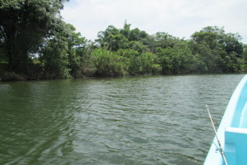 river-and-food-002