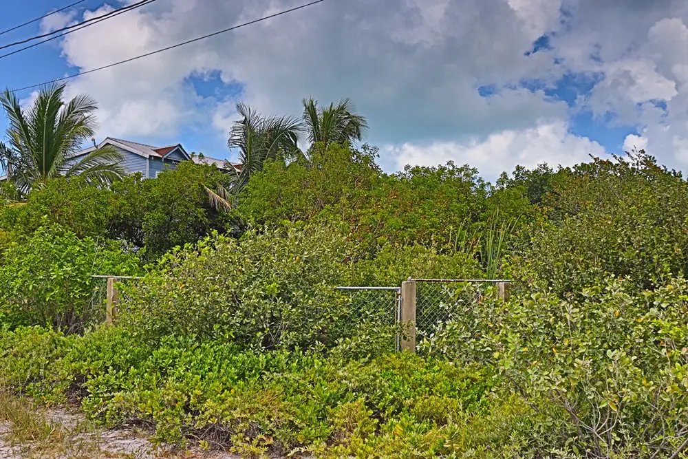 triiple_frontage_lot_001_caye_caulker_belize